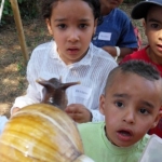 Chassez les trésors !