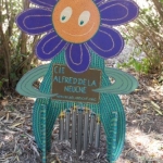 Accordéon, claquoirs, mirlitons et détente